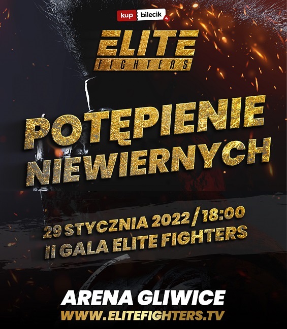 ELITE FIGHTERS 2