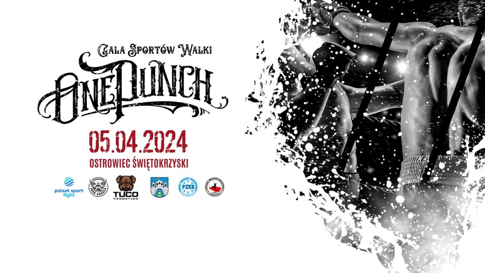 ONE PUNCH Ostrowiec Świetokrzyski - karta walk / fightcard