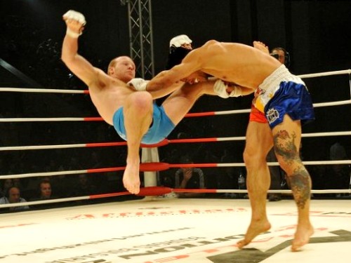 Emelianenko Emelianenko